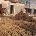 印度的環保--曬牛糞5