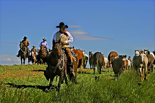 22 Dennis K. Chin       Herding horses.jpg