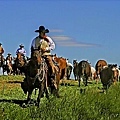 22 Dennis K. Chin       Herding horses.jpg