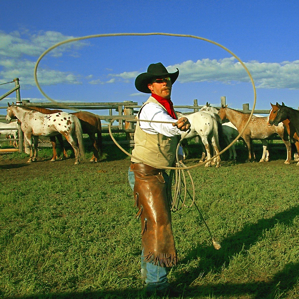 03 Dennis K. Chin       Roping.JPG