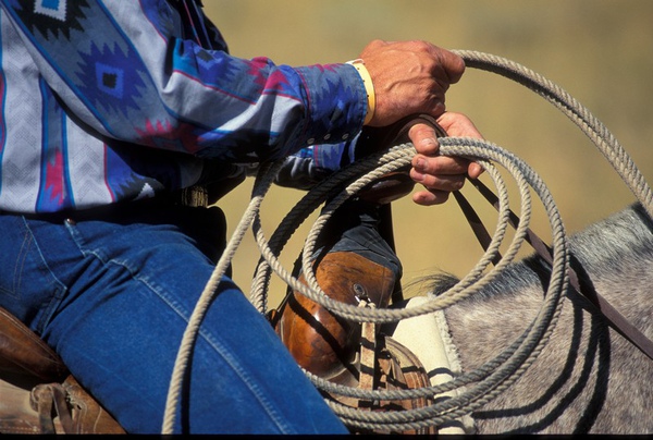 06 Donnie Sexton        Ready to rope.jpg