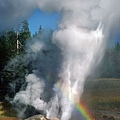 18 Dennis K. Chin         Yellowstone National Park.jpg