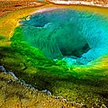 26 Dennis K. Chin         Yellowstone National Park.jpg