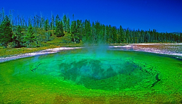 Yellowstone -1.jpg