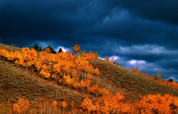 Yellowstone -2.jpg