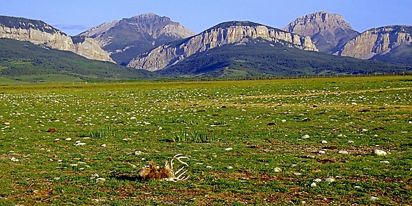 07 Dennis K. Chin       Montana Scenery.jpg