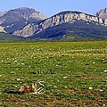 07 Dennis K. Chin       Montana Scenery.jpg