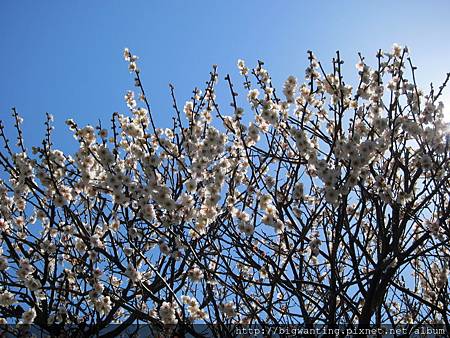 2014-03-11 10.39.11.jpg