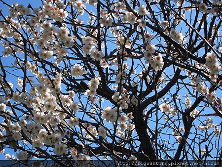 2014-03-11 10.39.18.jpg 2014-03-11 10.39.18.jpg