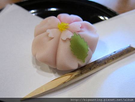 2014-03-11 10.53.18.jpg