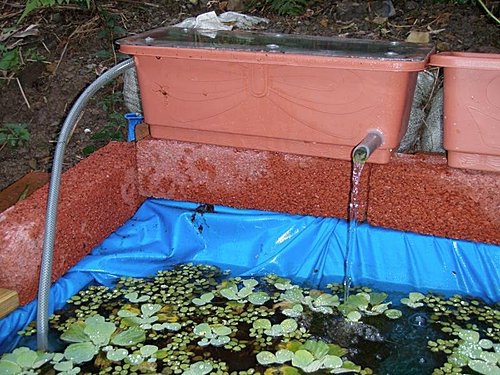 後院生態池 大野狼愛玩diy 痞客邦 後院生態池 大野狼愛玩diy 痞客邦