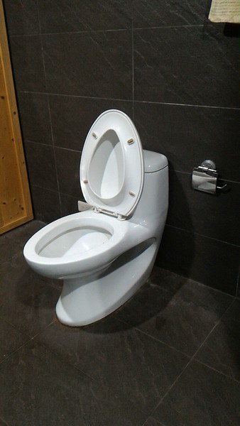 Diy 安裝toto馬桶及溫水便座意外兩三事 大野狼愛玩diy 痞客邦 Diy 安裝toto馬桶及溫水便座意外兩三事 大野狼愛玩diy 痞客邦