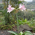 DSC01996