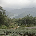DSC02032