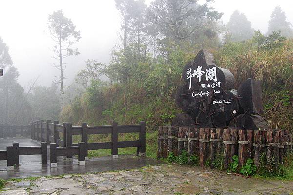 翠峰湖林道16.5K的步道入口，早上進去太暗就沒拍