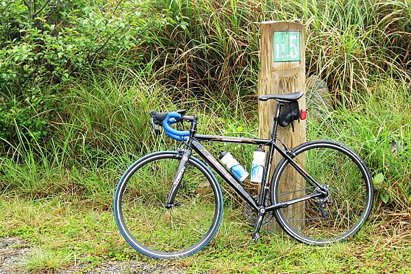 翠峰湖林道11.5K，林道最高點，海拔2000