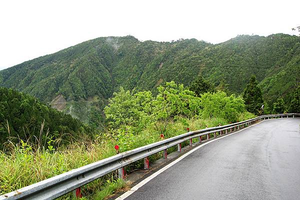 一路下坡溜回太平山莊