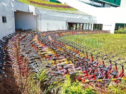 bike_flower_expo.jpg