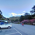 IMG20201228163920.jpg