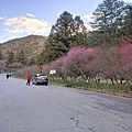 IMG20201228164006.jpg