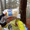 IMG20201229090237.jpg