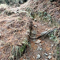 IMG20201229103125.jpg
