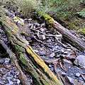 IMG20201230082025.jpg