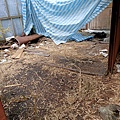 IMG20201230114422.jpg