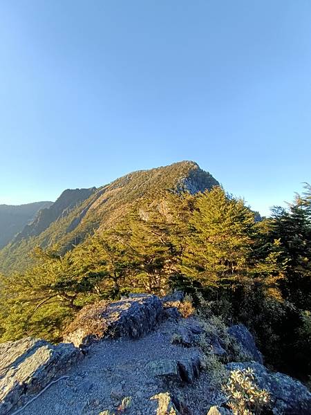 IMG20201231070957.jpg