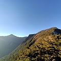 IMG20201231071030.jpg