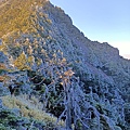 IMG20201231072058.jpg