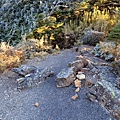 IMG20201231071311.jpg