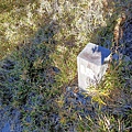 IMG20201231084701.jpg
