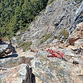 IMG20201231132021.jpg