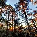 IMG20210101064324.jpg