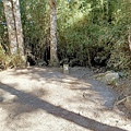 IMG20210101142427.jpg