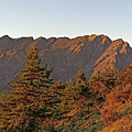 IMG20210919054751.jpg