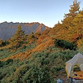 IMG20210919054741.jpg