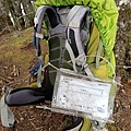 IMG20210919115936.jpg