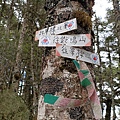 IMG20210919115209.jpg