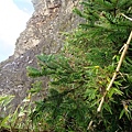 IMG20210919160424.jpg
