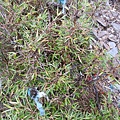 IMG20210919163518.jpg