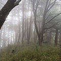 IMG20210920095333.jpg