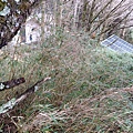 IMG20210920102318.jpg