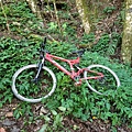 IMG20210917142418.jpg