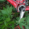 IMG20210917142503.jpg