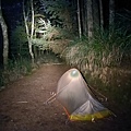 IMG20210918003854.jpg