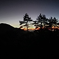 IMG20210919050511.jpg