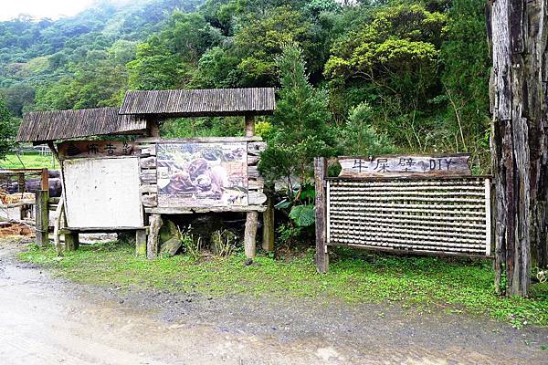 頭城農場064