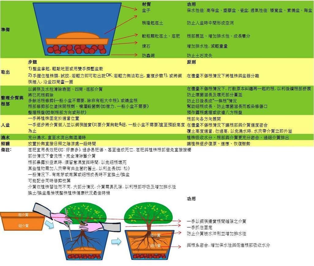 換盆通則